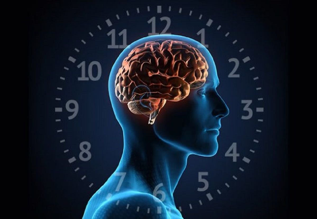 Ciencia Chrono-aging: Contornos de Ojos Trabajan con tu Ritmo Circadiano